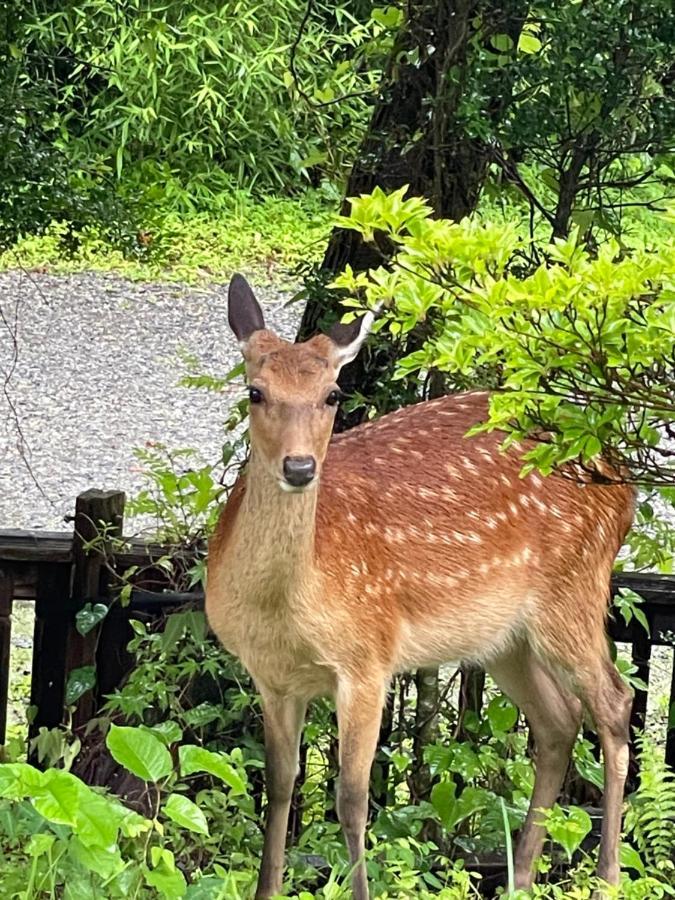 Morinouta Hotel Nikko Bagian luar foto